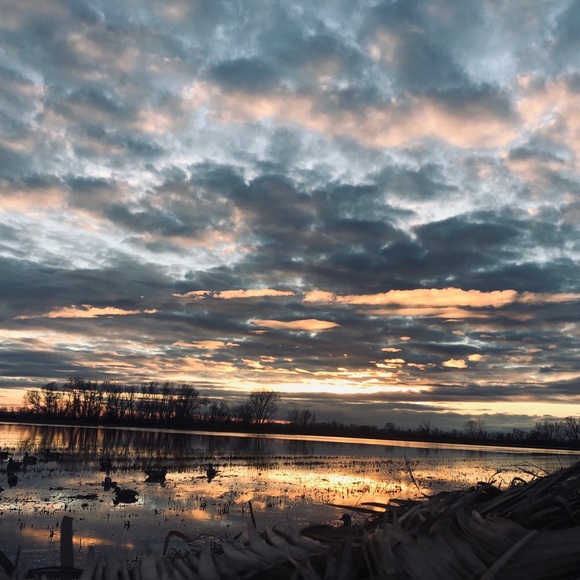 Meet your Posher, Jason - Picture 1 of 1